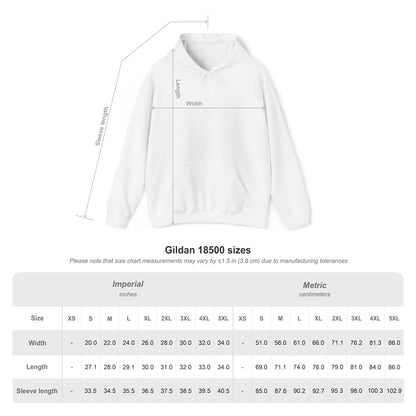 VIR VINTAGE BLOCK Unisex Heavy Blend™ Hooded Sweatshirt