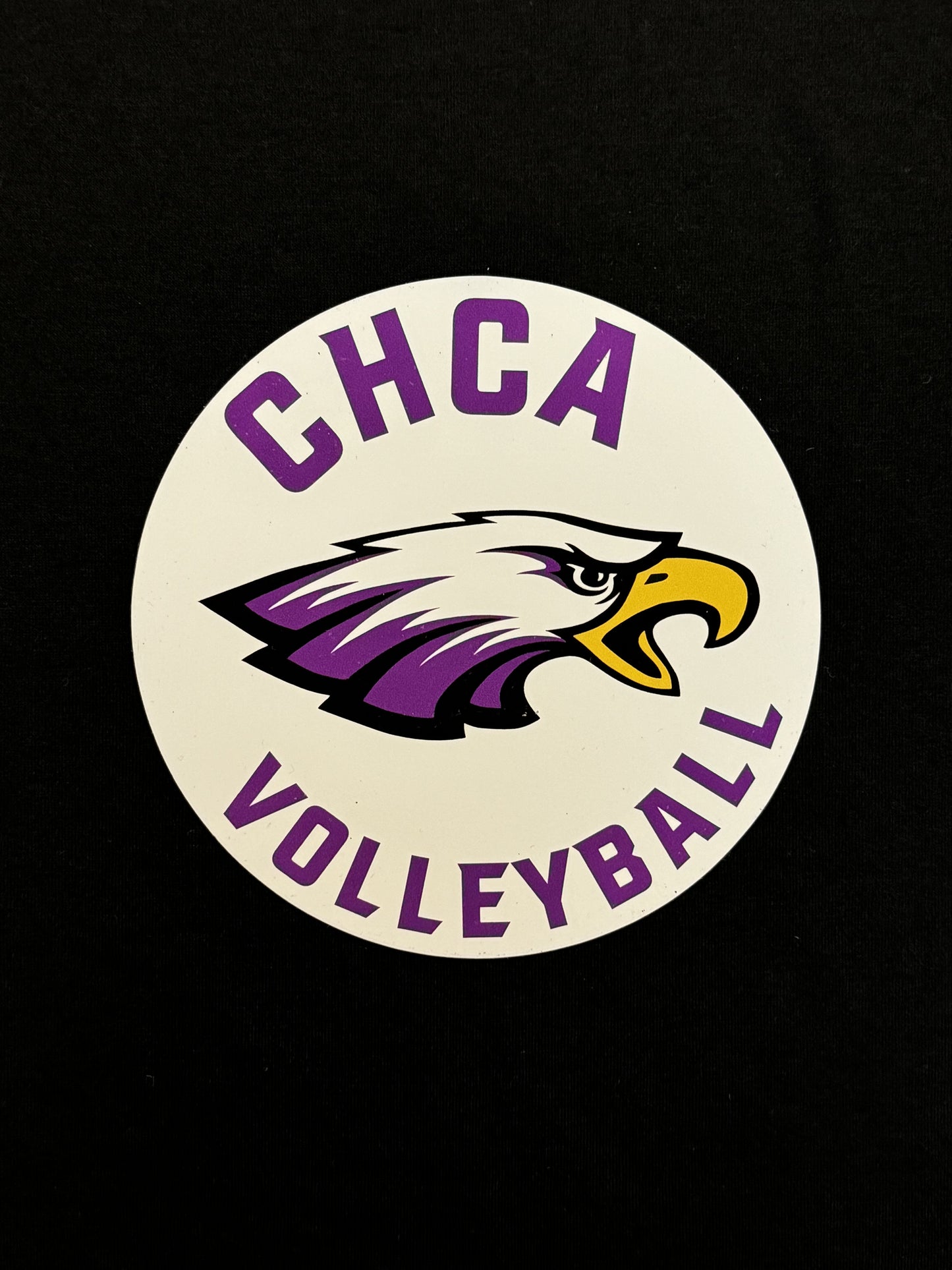 Volleyball Magnet