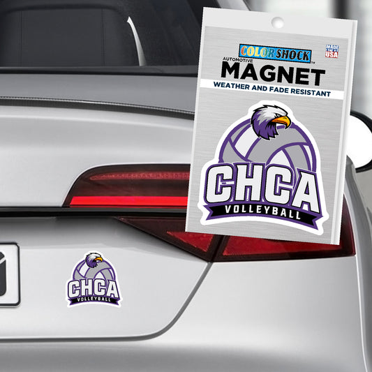 Volleyball Car Magnet
